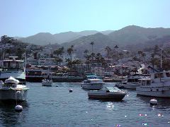 Avalon